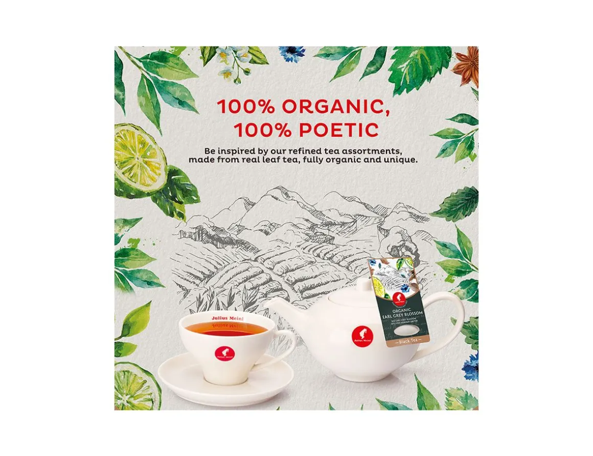 Julius Meinl Bio Tee|Big Bags>Bio Kirsche Granatapfel - 20 Teebeutel